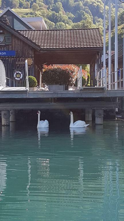 Hotel Sternen Sisikon Εξωτερικό φωτογραφία